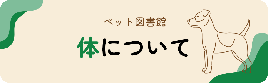 ペット図書館 体について